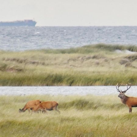 Fewo-Kramm Ostseebad Dierhagen Exteriör bild