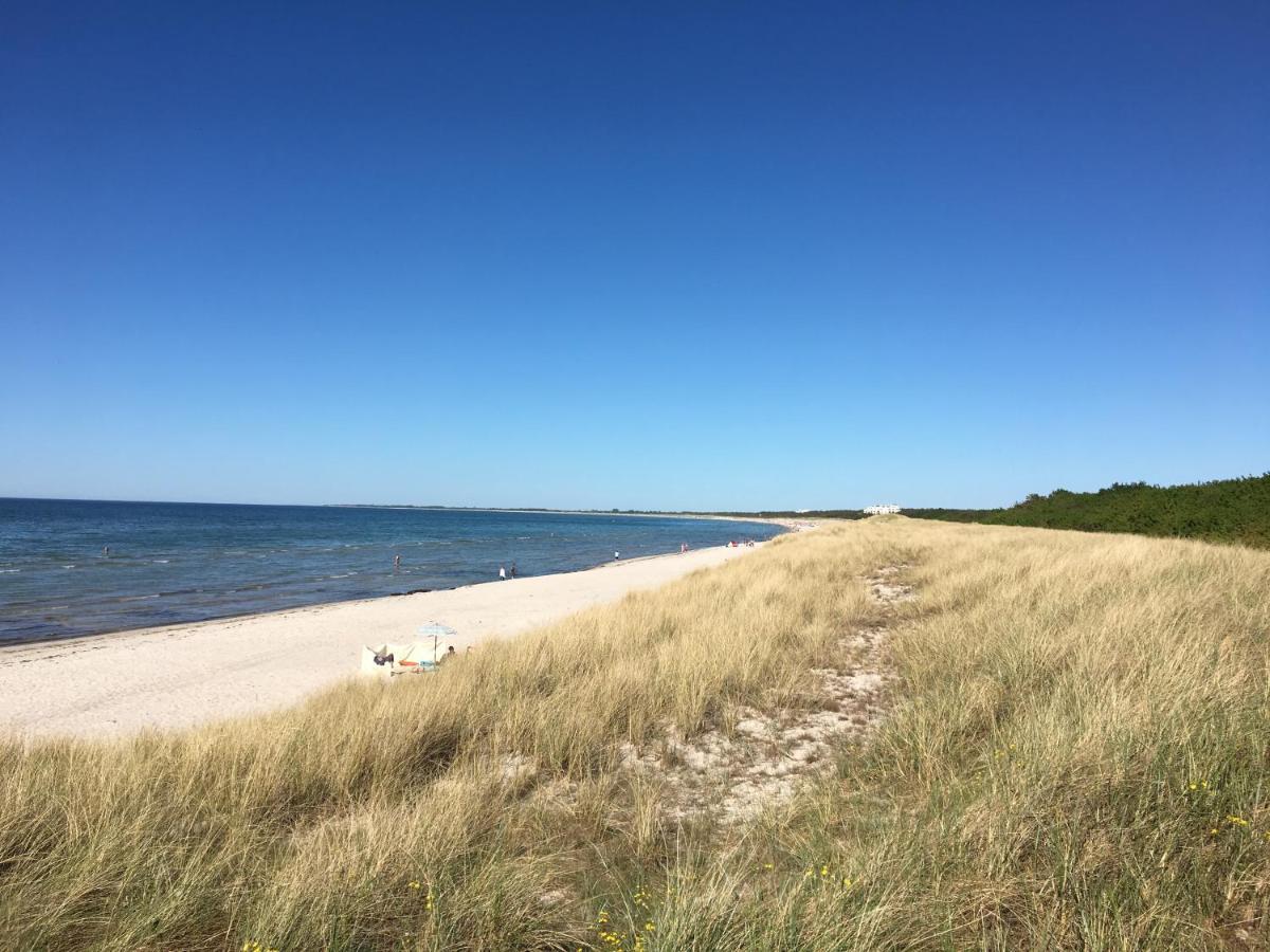 Fewo-Kramm Ostseebad Dierhagen Exteriör bild